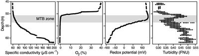 Biogeochemical Niche of Magnetotactic Cocci Capable of Sequestering Large Polyphosphate Inclusions in the Anoxic Layer of the Lake Pavin Water Column